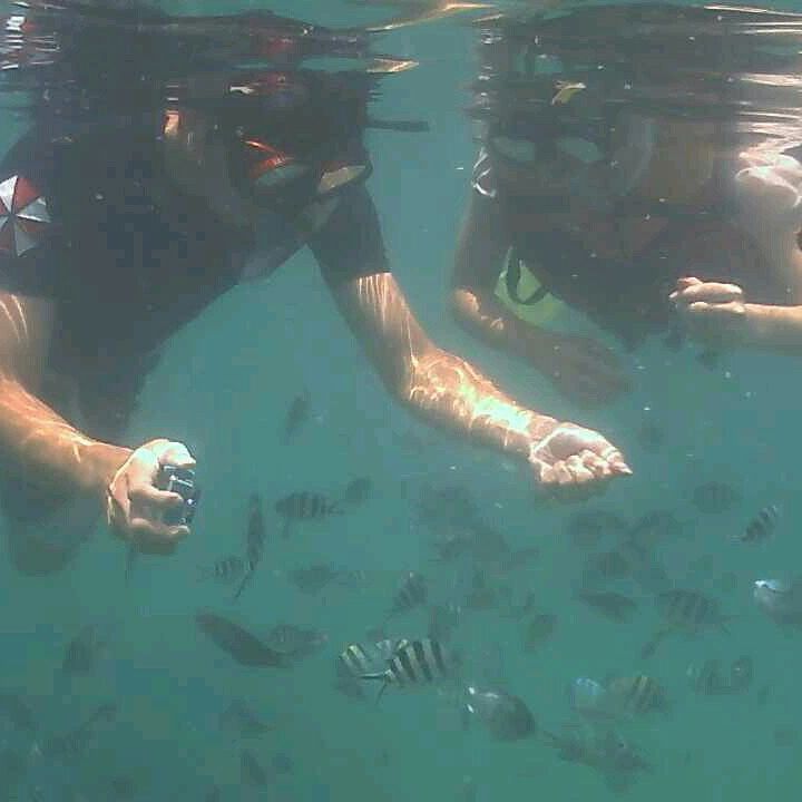 26066475_1587319254724926_7115554147000123392_n