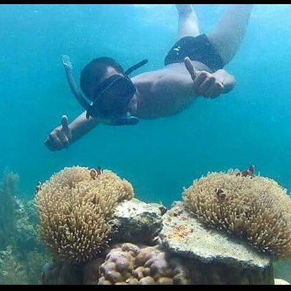 26071161_404860376613140_7793845064903426048_n