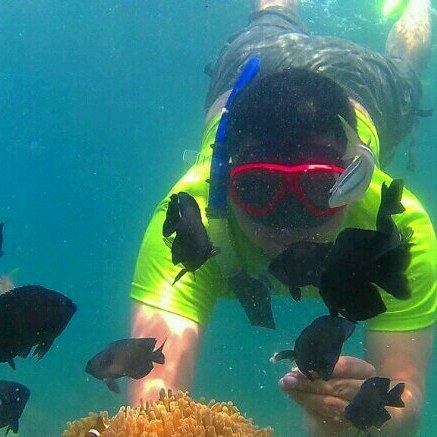 26223971_141406126558230_4044868167783153664_n