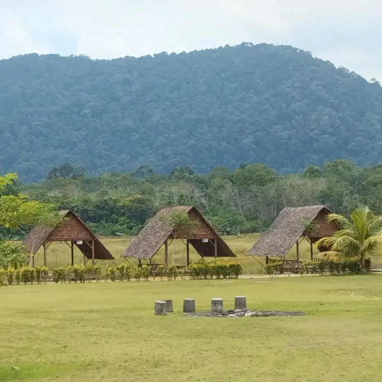 313021194_1447412819084519_682591010078784454_n