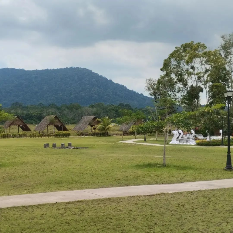 313031386_479546357478074_3624829765955187225_n